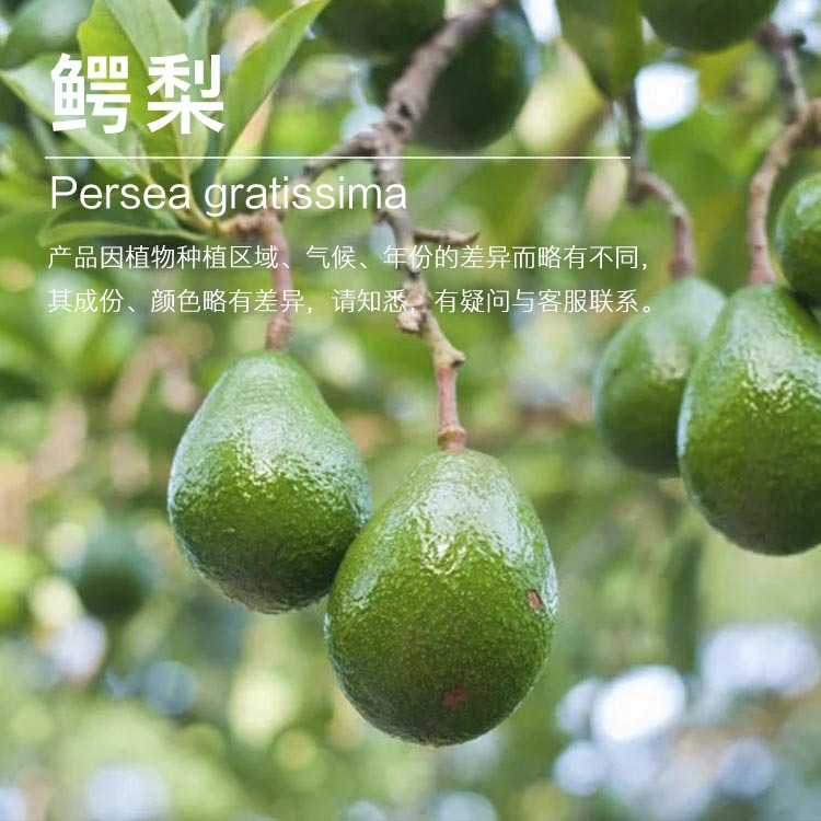 �������������� ��ե������ ţ�͹��� ������ԭ������ ��ӭ�ɹ�