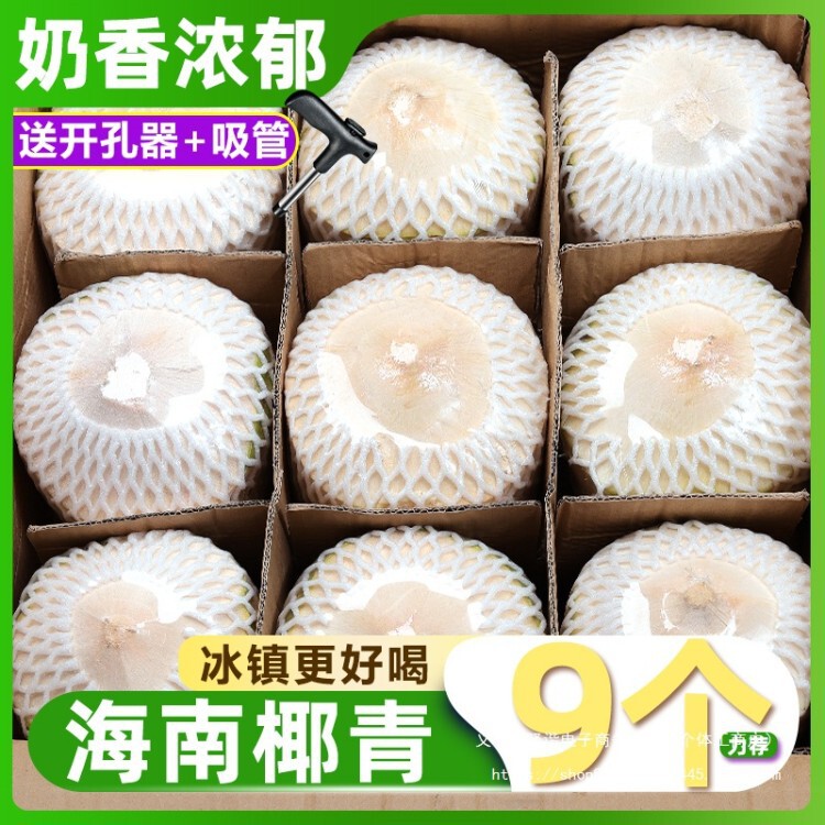 Hainan fresh young coconuts, 9 Thai freshly picked peeled mature coconuts, seasonal local specialty, whole box with free shipping
