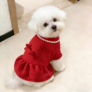 2026�R��ϲ�c���������bС���L��⹷���Ӻ�tɫ�B��ȹ؈������