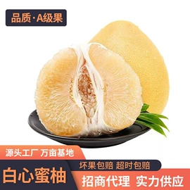 西式糕点;饼干;方便面类