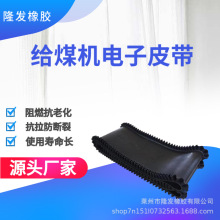 给煤机电子皮带环形给料机输送带隆发沈阳施道克日本大和机器用