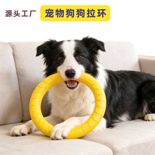 ����ĥ����ߌ��I���a���hӖ����� EVA������� ����Ȧ������