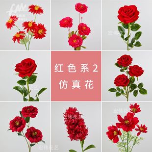(�tɫϵ2)���滨��c��չ��Y�ò廨�ҾӔ[���b����ՔzӰ����