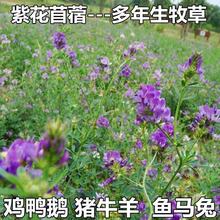 ϻޣݷNѶݷNļBֳιţuZ~ݷN