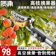 �ձ�Ʒ�|ժˮ��������֦��÷�߿���s�U��ժ���ӹ�����֦����