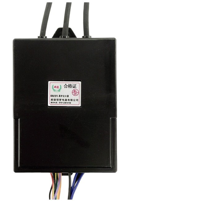 Encendedor para máquina de fideos, máquina para hacer rollos de arroz, piezas de reparación para gabinetes de vapor, horno de vapor comercial de bajo consumo, horno para bollos al vapor, controlador de pulso. image 4