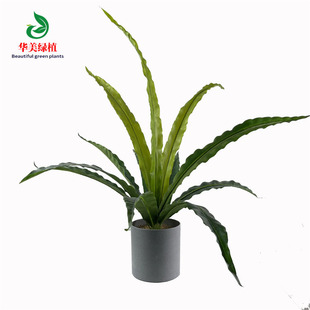 G~F Pβ һL Winsֲ҃ȼҾb[