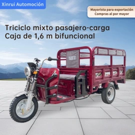 电动三轮车;其他电动车