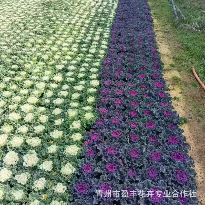 微信图片_20241219091230