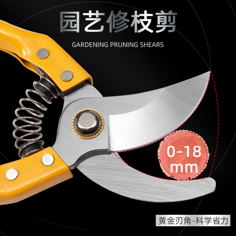 scissors stainless steel