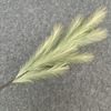 Long only 11 fork feathers phoenix tail 2021 new phoenix simulation flower wedding decorative fake flower decorative ceiling green plants