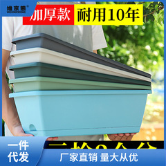 陽台長方形種菜盆種菜神器家庭陽台蔬菜塑料長條花盆槽盆廠家薑茶