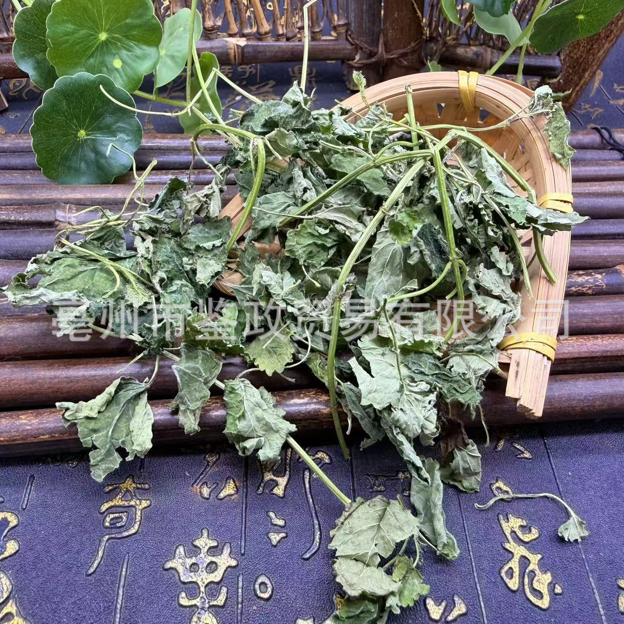 Lemon Balm Dried Herb 500g Bag Xiang Feng Cao Herbal Tea Ingredient key features
