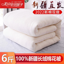 6斤新疆長絨棉花被子棉絮棉胎學生單雙人被褥芯手工純棉被