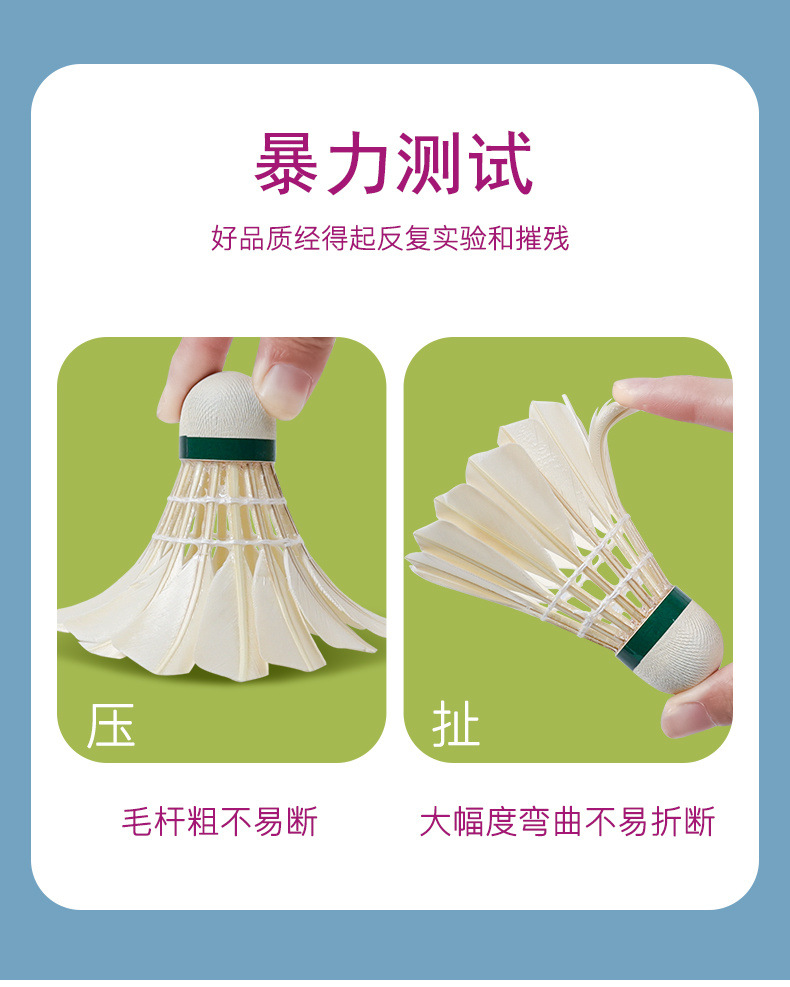 4a3ee54e-513c-4d92-948b-8a8dc1b51395.jpe