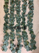 2���ȼ����ٗl�G�}�~�ٗl�����ٷ��滨�ٗl��c�b��ٷ���ֲ��