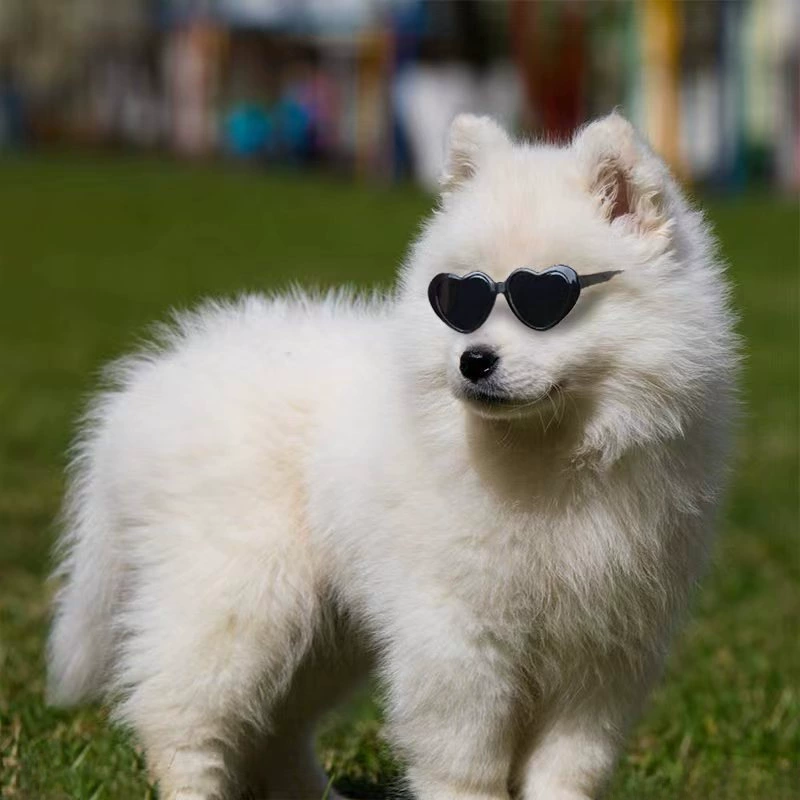 Doll, sunglasses, toy with accessories, cotton glasses, pet