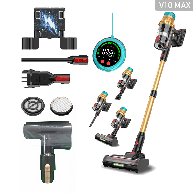 골드 스탠다드 + 진드기 제거 브러쉬