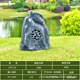 Cpy-31 fiberglass model