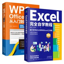 正版全2册Excel完全自学教程WPS Office办公应用从入门到精通