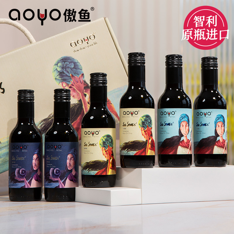 Chile Original Imported Wine sea Sound dry red wine grape Wine Gift box packaging wholesale agent