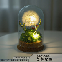 永生花云南玫瑰花蒲公英玻璃罩DIY手工艺品女朋友生日礼物干花