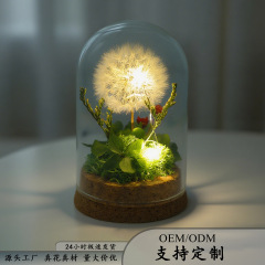 永遠の花 雲南産バラ ゴーヤ ガラス蓋 DIY 手芸品 彼女への誕生日プレゼント ドライフラワー