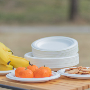 Disposable environmental protection sugarcane pulp degradable paper dish barbecue birthday cake plate thickened plate art painting plate