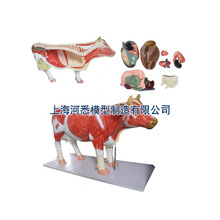 ţ����ģ��