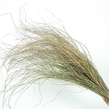 细叶芒干叶纹眉草干花 干芦苇叶 干羽毛草 花艺设计婚庆婚礼叶子