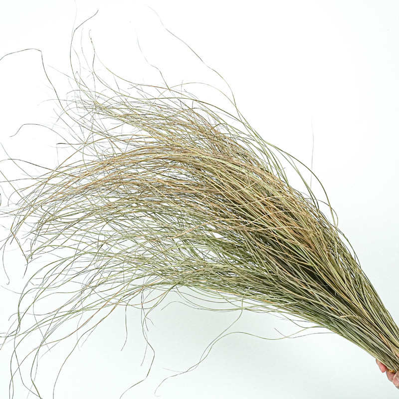 Fine leaf awn dry leaf eyebrow dried flower dried reed leaf dried feather grass flower design wedding wedding leaves