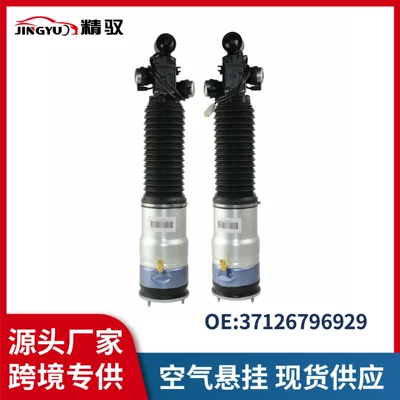 37126796929 37126796930 For Bmw 7 Series F02740 750 760 Rear Air Shock Absorber (damping system)