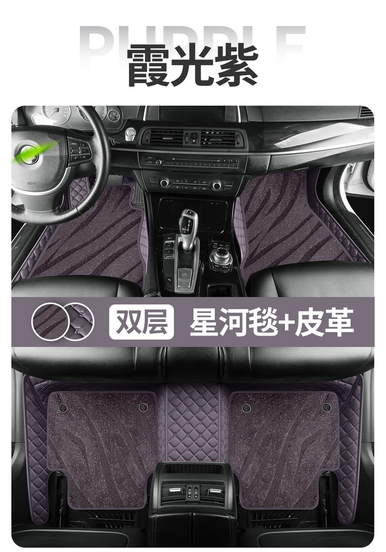 Roewe rx5plus Longmao 350s Whale 360 550 rx3 ei6max w5 i5 full coverage car floor mats