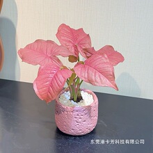 �t�ۼ����҃ȺϹ��������ɫ�՚�ֲ���k��������Gֲ���B��������