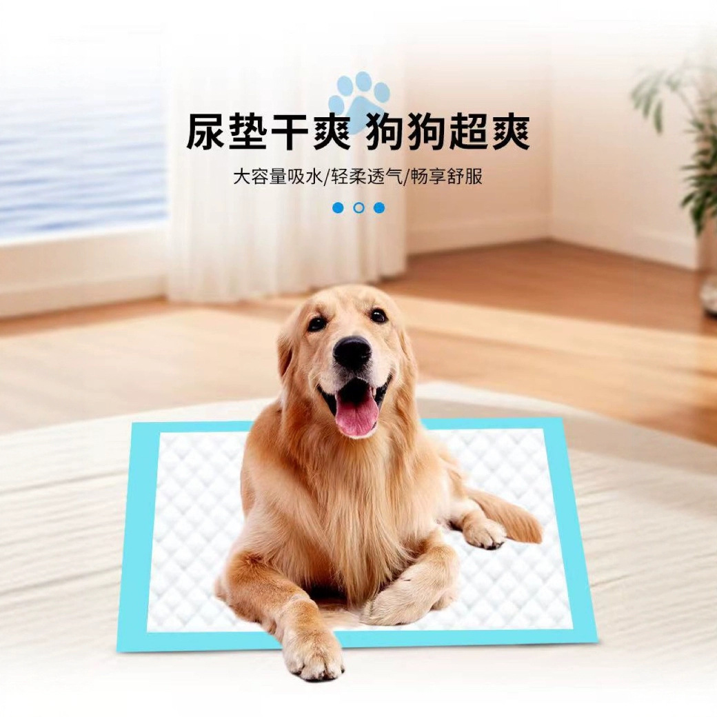 ペットおむつ、犬用おむつ、ペット用品、瞬間吸収漏れ防止使い捨ておむつパッド、工場ペットパッド