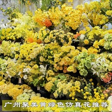 2025���¿��Sɫ��c���滨���Q�S�� �S�Gɫ��Yõ�彑��ٻ����l