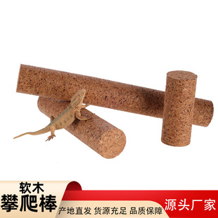 ܛľ������ �������쾰�b�ܛľ��������ʯ���Ӽ��x���׶�ܶ�Ѩ