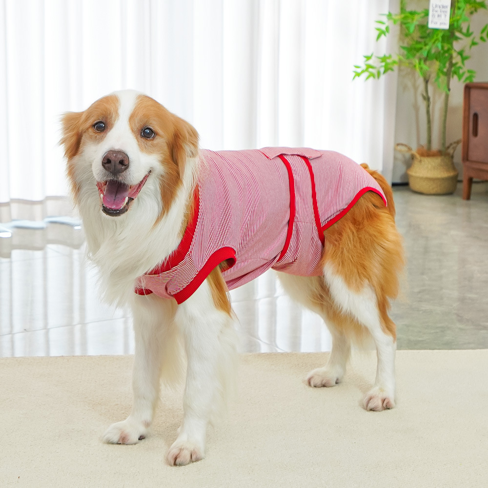 Transfronterizos ropa de esterilización de perros medianos y grandes, pantalones fisiológicos, ropa para perros después de la cirugía, suministros de ropa para perros, que el panda, el gato, el cabello dorado, Kirki image 8