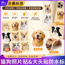 �����N������؈����Ƭ���^�N��ˮdiy�N�����~�����䮐�β����z�N