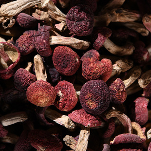 ���ʳ�þ��a��؛Դֱ��С�t����С�д�˹�Ģ����t����؛���l