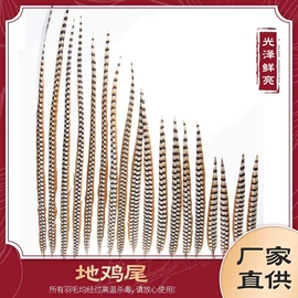 羽毛、羽绒;皮毛工艺品