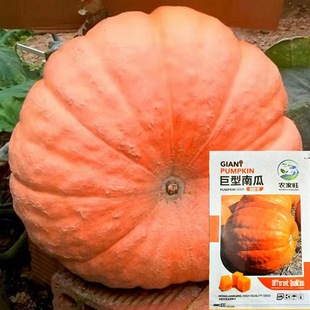 ���l�����ϹϷN���^�p��ʳ���۱��ش��ļ��a�Ϲϲ˷N���߲˷N�ӹ�