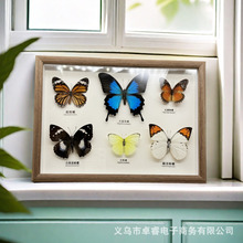 ������˱��������xչ�Ꭷ�������b����w�[����ʽDIY�����^�p