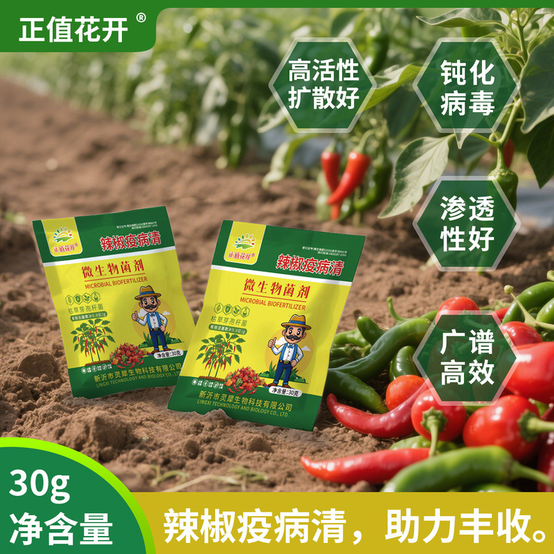 Special Microbial Agent for Controlling Pepper Blight, Yellowing, Anthracnose, Yellow Leaves, Wilt, Root Rot, Gray Mold, Soft Rot, and Virus Diseases