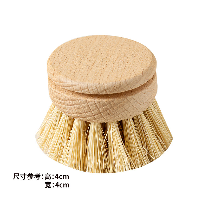 너도밤나무 사이잘 브러시 헤드