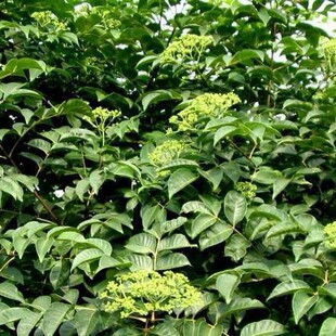 ��̴�����_�υ��������������̴����ܿ��Ʊ��o�N�ӷN��