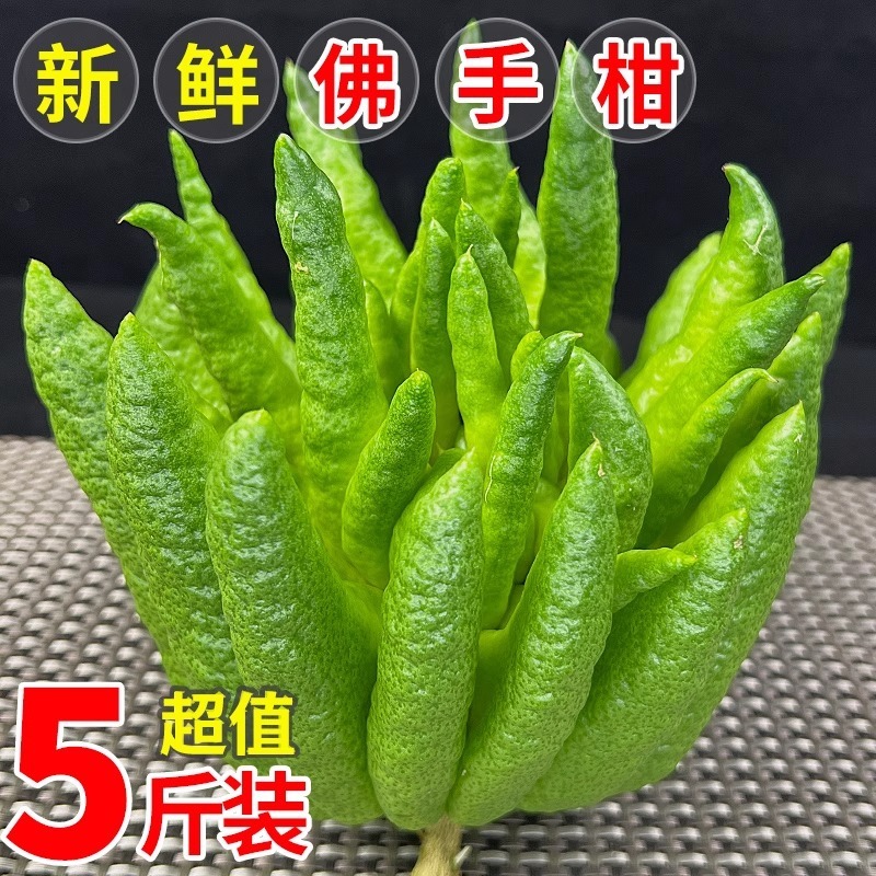 【佛手水养水培】非金华佛手柑佛手新鲜香橼观赏闻香插花香橼观赏|undefined
