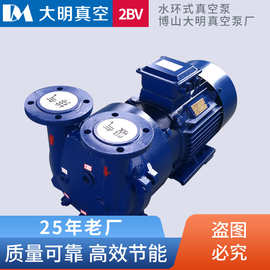 淄博厂家直供7.5kw水环式真空泵 铸铁不锈钢2bV5121水环式真空泵