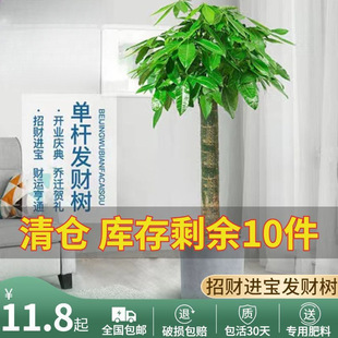 ���;Gֲ�lؔ�����U�����߿͏d�k���҆��w���ԃ����͚�����ȩ��ؔ