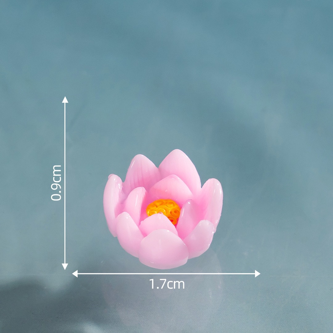 연꽃 연못 달빛 단색 연꽃 핑크 3호